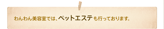 わんわん美容室では、ペットエステも行っております。