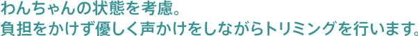 わんちゃんの状態を考慮。負担をかけず優しく声かけをしながらトリミングを行います