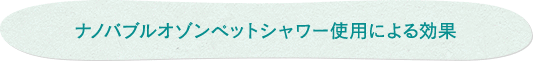 ナノバブルオゾンペットシャワー使用による効果