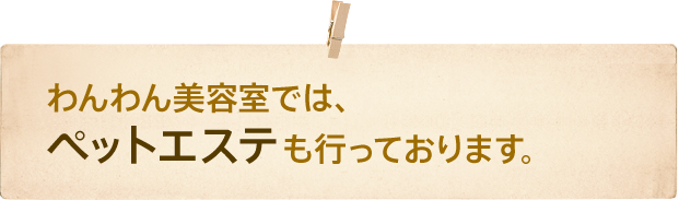 わんわん美容室では、ペットエステも行っております。