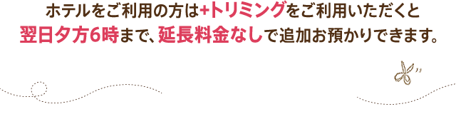 ホテルをご利用の方は＋トリミングをご利用いただくと翌日夕方6時まで、延長料金なしで追加お預かりできます。