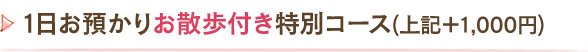 1日お預かりお散歩付き特別コース