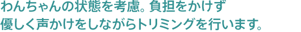 わんちゃんの状態を考慮。負担をかけず優しく声かけをしながらトリミングを行います