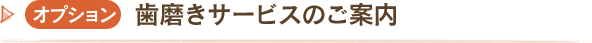 オプション　歯磨きサービスのご案内