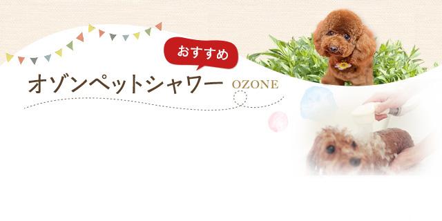 オゾンシャンプー