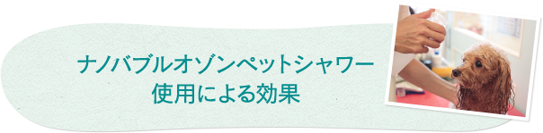 ナノバブルオゾンペットシャワー使用による効果