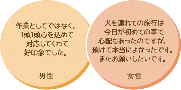 ・作業としてではなく、1頭1頭心を込めて対応してくれて好印象でした。 ・犬を連れての旅行は今日が初めての事で心配もあったのですが、預けて本当によかったです。またお願いしたいです。